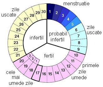 contraceptie mucus cervical